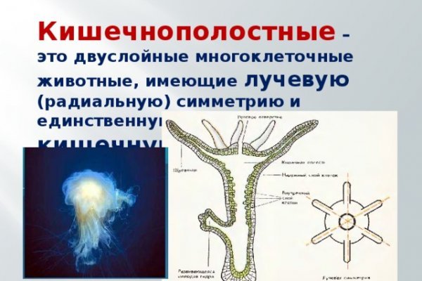 Кракен не работает сегодня